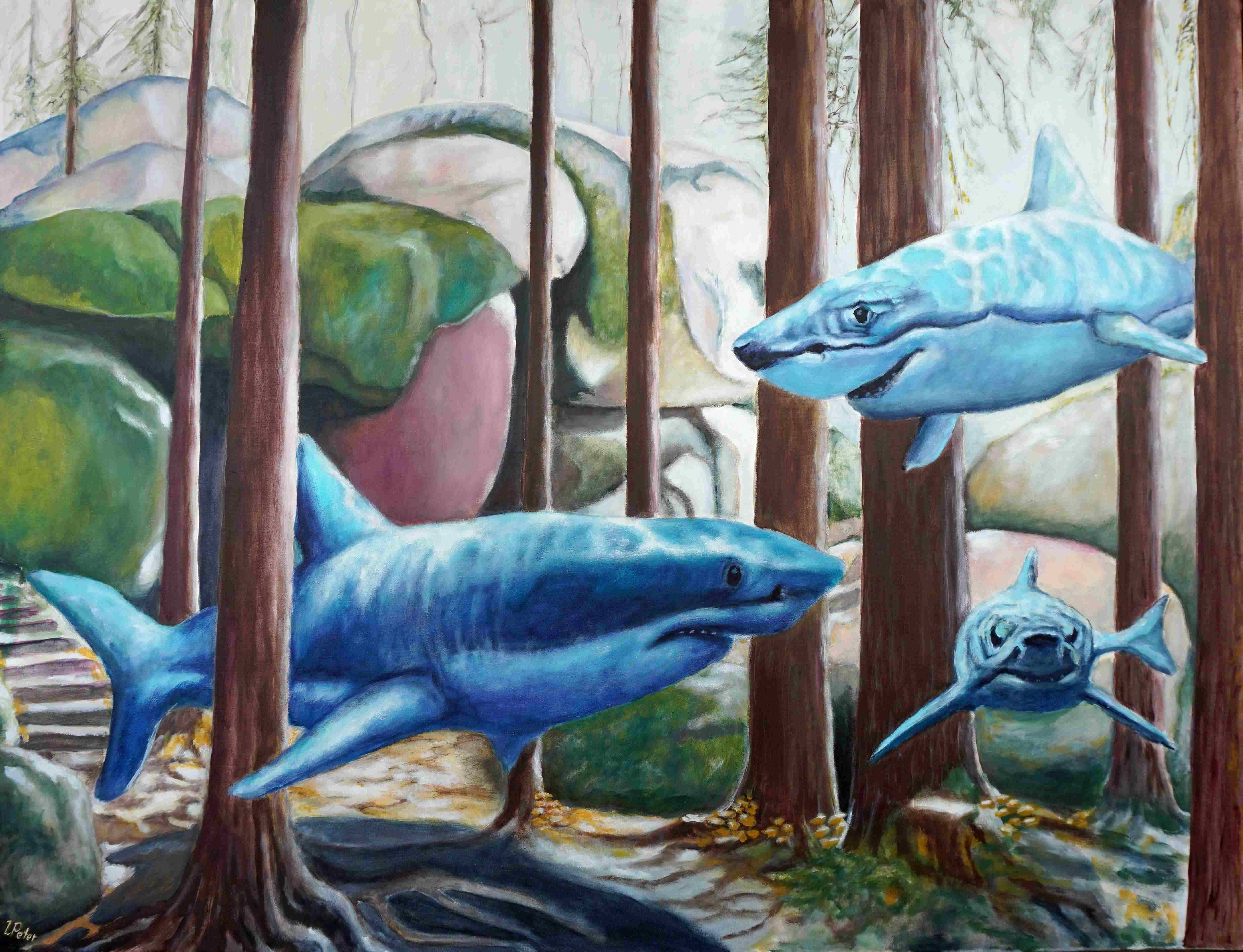 2023-08_-_look_shark_-_90-120cm_