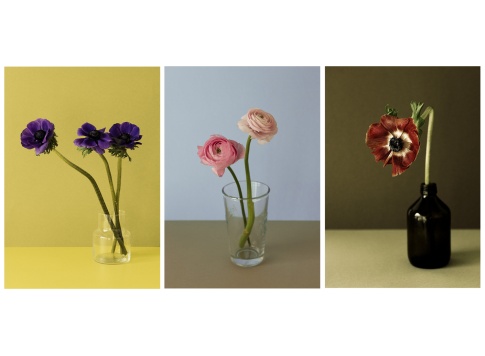 andrijana_display