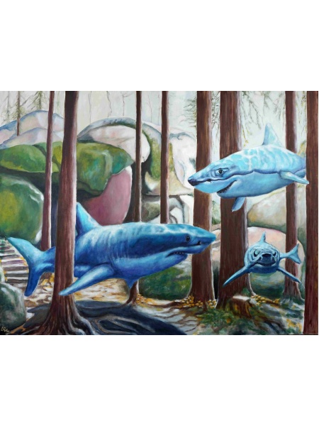 2023-08_-_look_shark_-_90-120cm__627404834