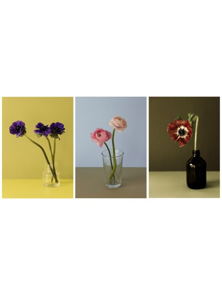 andrijana_display_885292487